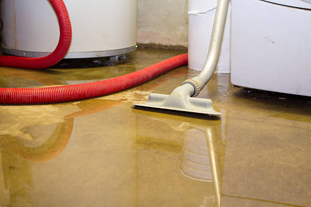 Best Commercial water damage restoration  in Hamilton Square, NJ