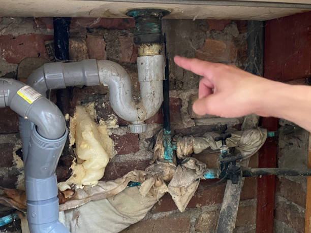 Best Local water damage restoration  in Hamilton Square, NJ