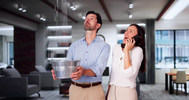 Best Water damage cleanup near me  in Hamilton Square, NJ