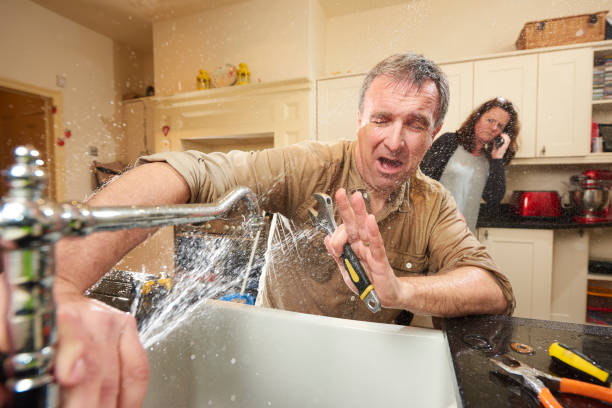Best Carpet water damage restoration  in Hamilton Square, NJ